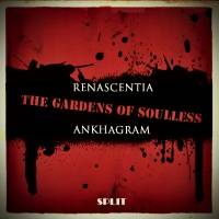 Ankhagram : The Gardens of Soulless